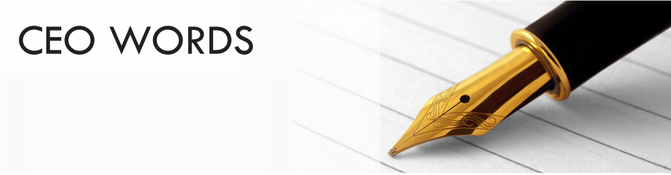 Laveso CEO Words
